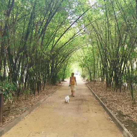 Home2book El Encanto De La Plaza Del Principe Lejlighed *
