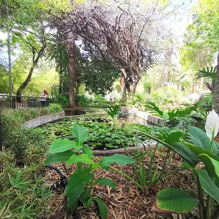 Home2book El Encanto De La Plaza Del Principe 산타크루스데 테네리페