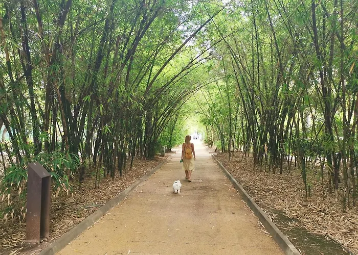 Home2book El Encanto De La Plaza Del Principe Apartman *