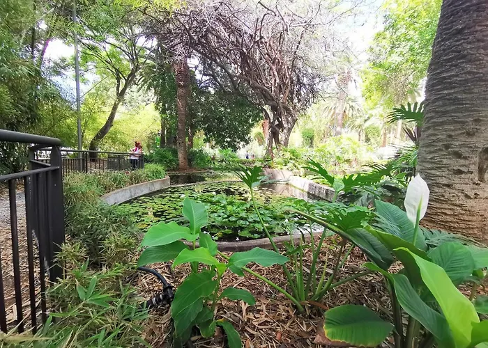 Home2book El Encanto De La Plaza Del Principe Santa Cruz de Tenerife
